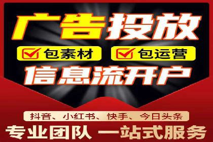 SEM推广实战：成功案例解读与策略调整